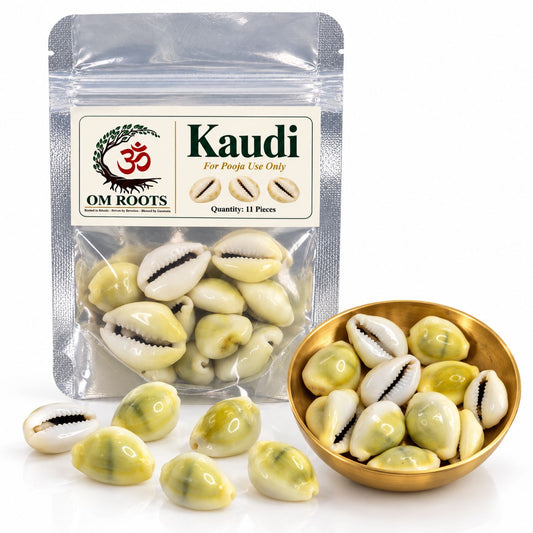 Omroots Kaudi (Shell) For Pooja – 11 Pieces