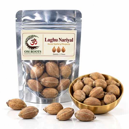 Omroots Laghu Nariyal For Pooja – 11 Pieces