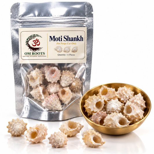 Omroots Moti Shankh For Pooja – 11 Pieces