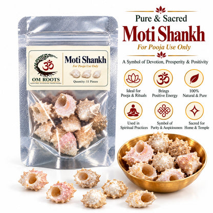 Omroots Moti Shankh For Pooja – 11 Pieces