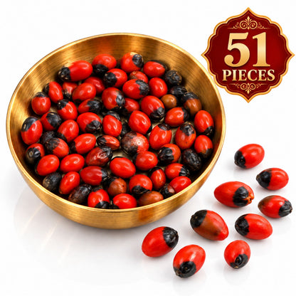 Omroots Laal Gunja Seeds For Pooja, Red Gunja 51 Pieces